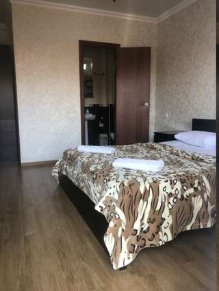 Гостиница Сальма Адлер 2-х местный Стандарт с двуспальной кроватью-4